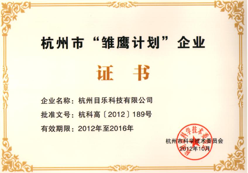 雛鷹企業(yè)